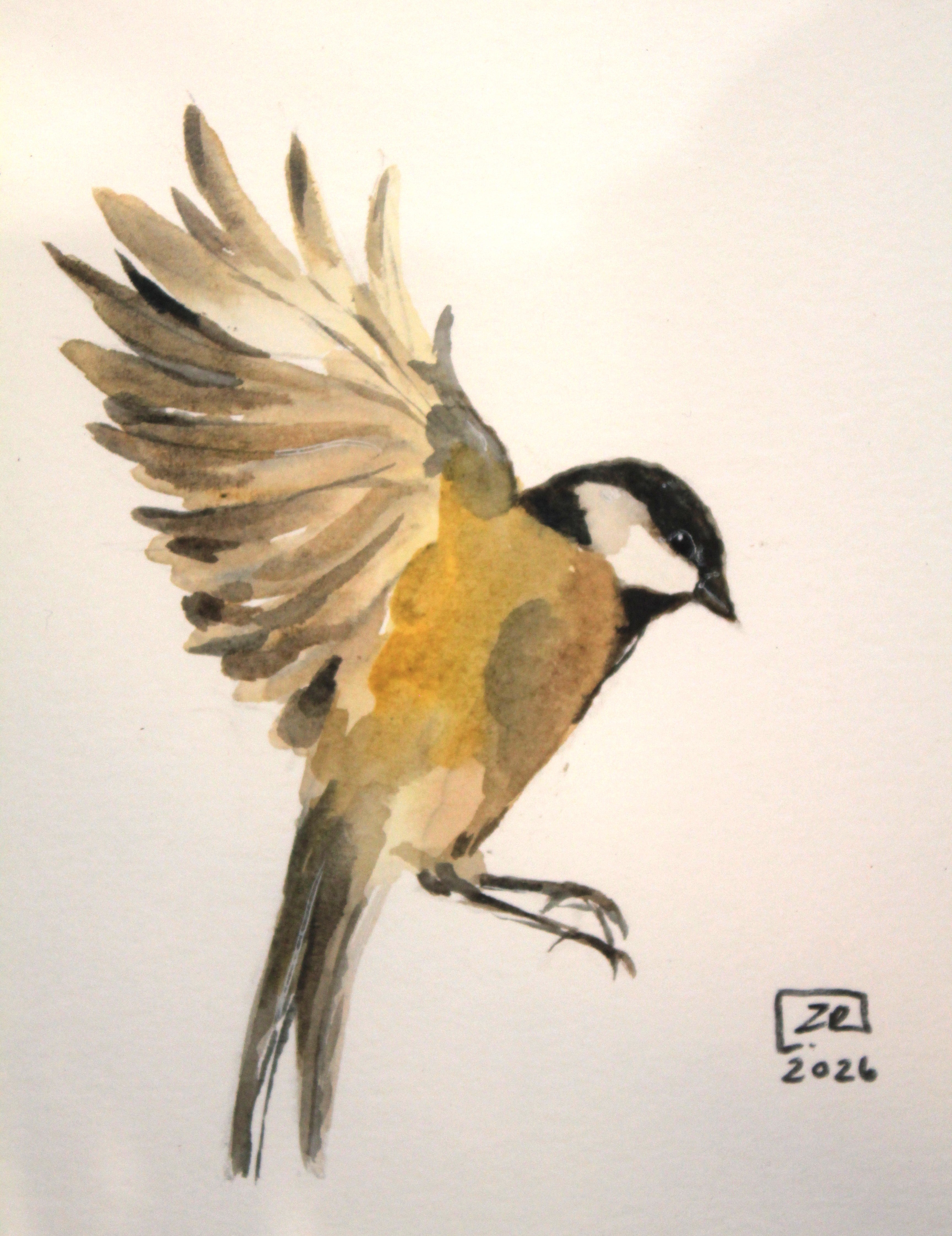 Ptak - Sikorka Bogatka 20 x 20 cm