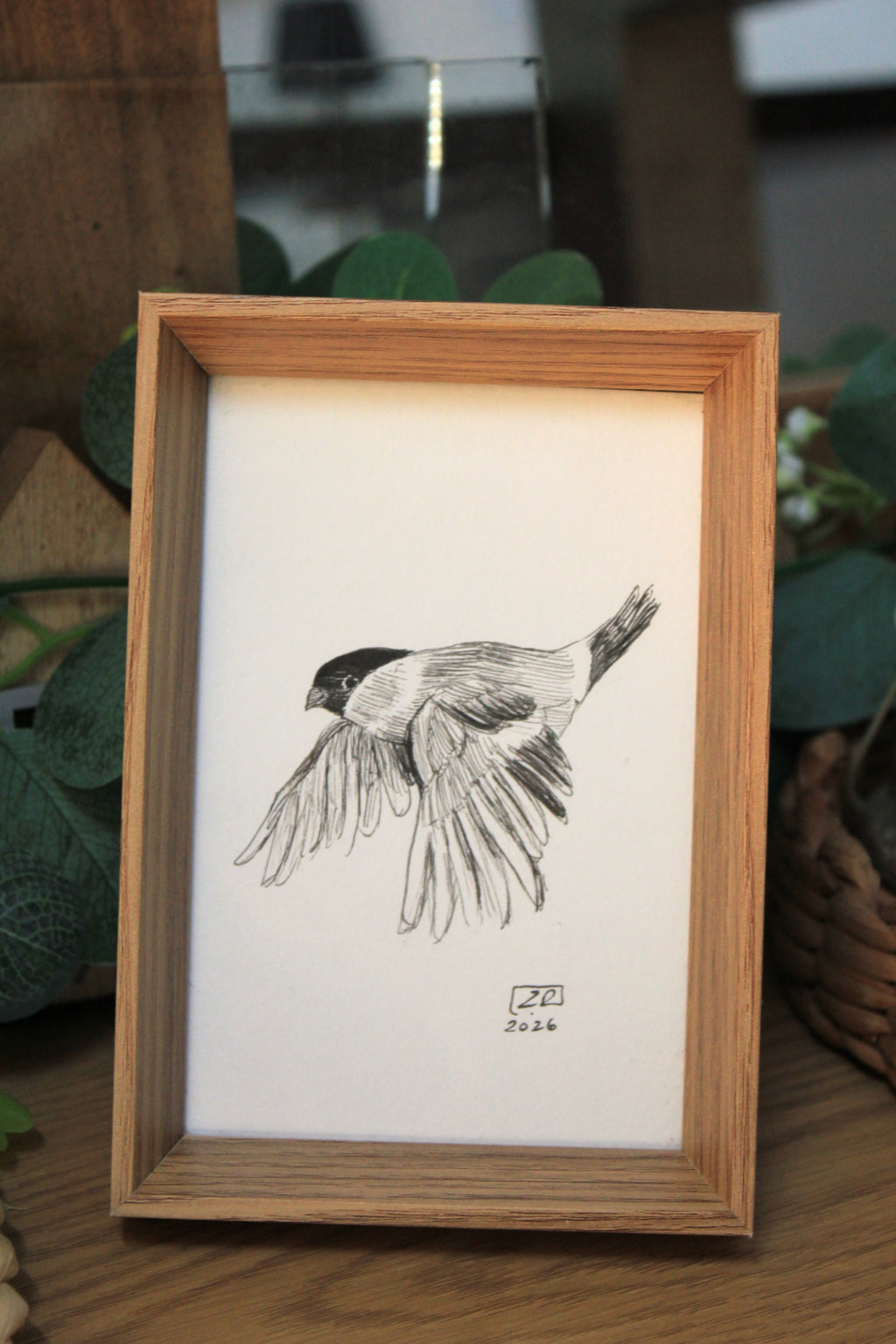 Ptak - Gil 10 x 15 cm