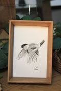 Ptak - Gil 10 x 15 cm