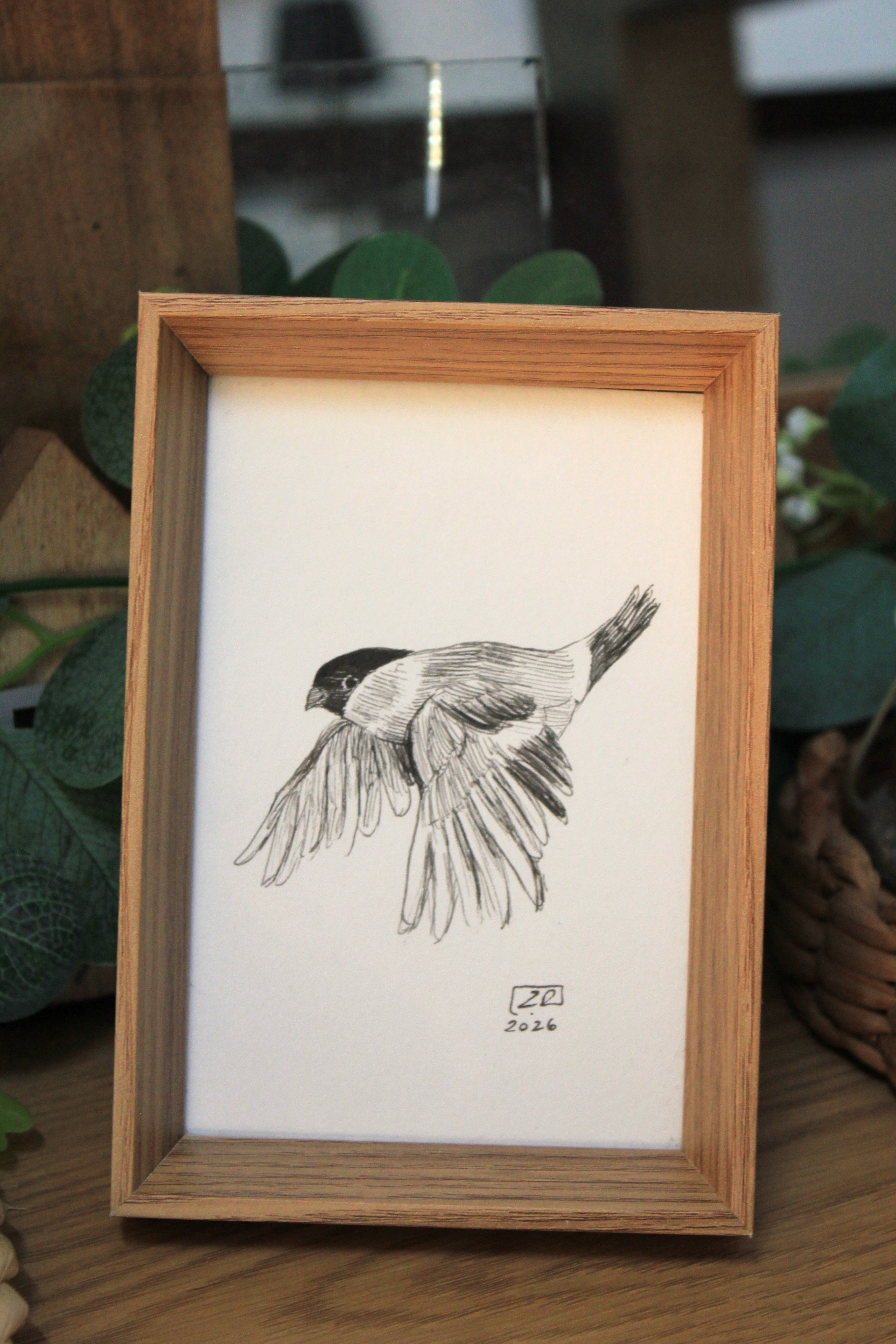Ptak - Gil 10 x 15 cm