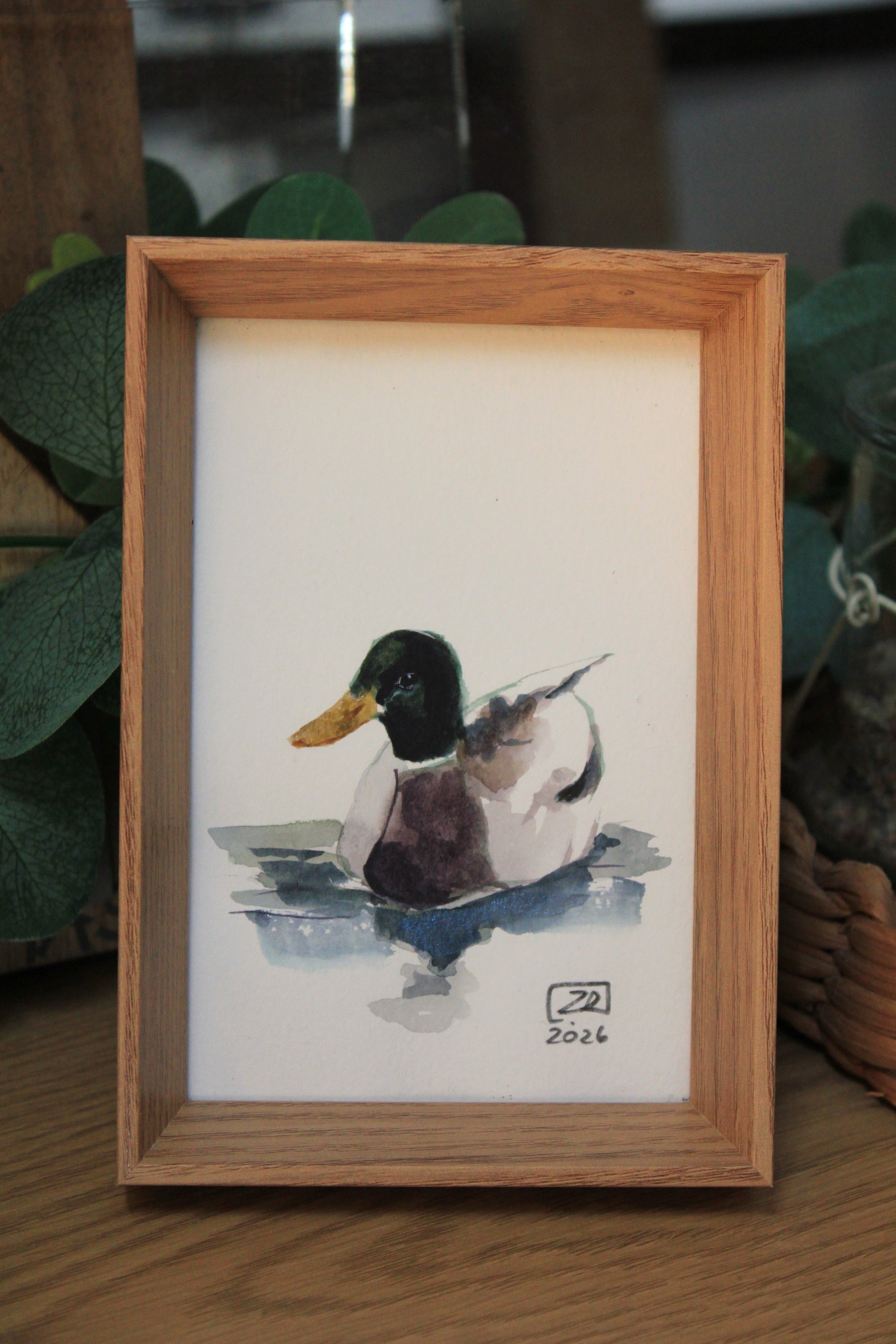 Ptak - Kaczka Krzyżówka 10 x 15 cm