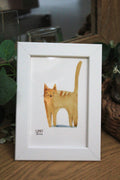 Kot - Rudy 10 x 15 cm