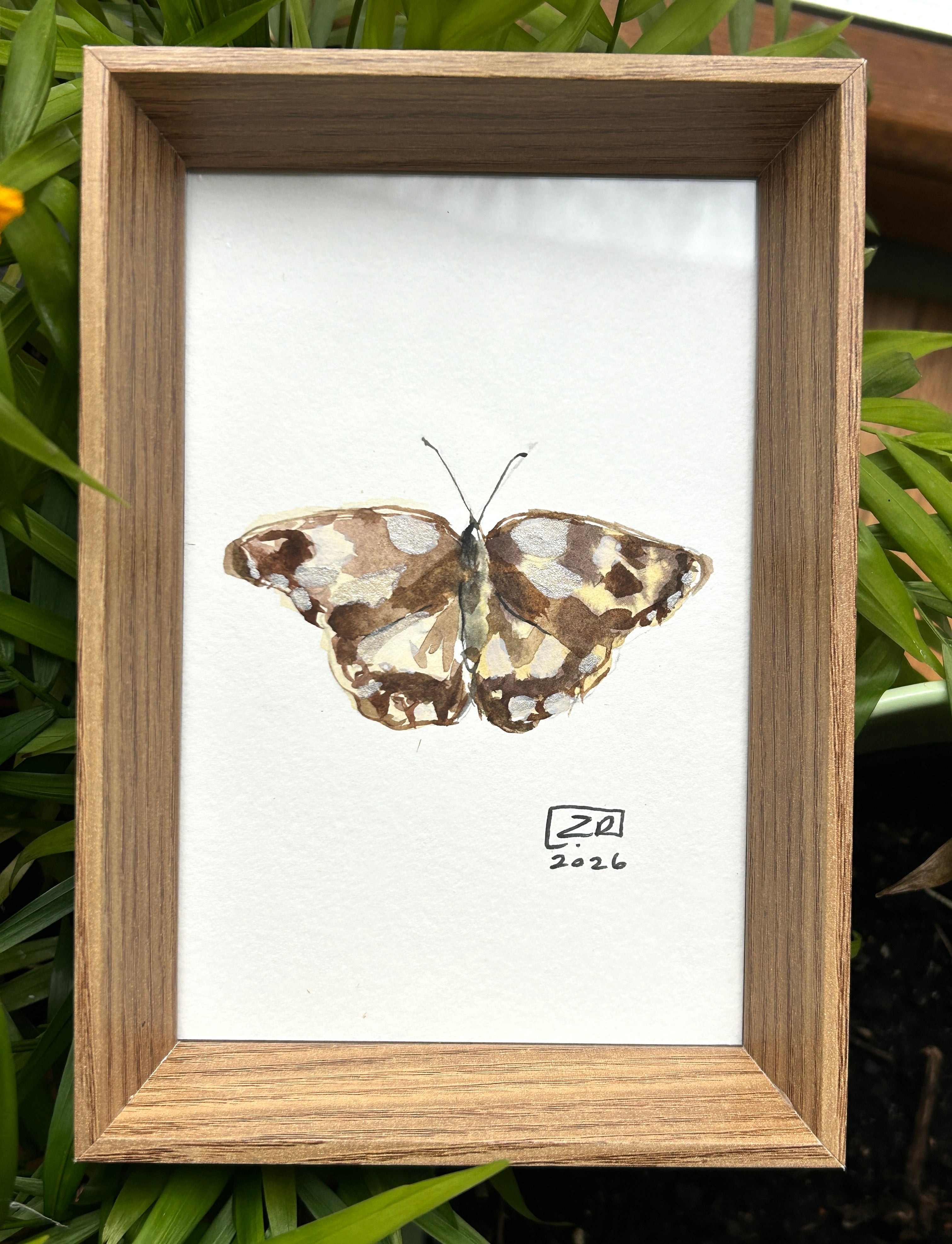 Motyl - Polowiec Szachownica, 10x15