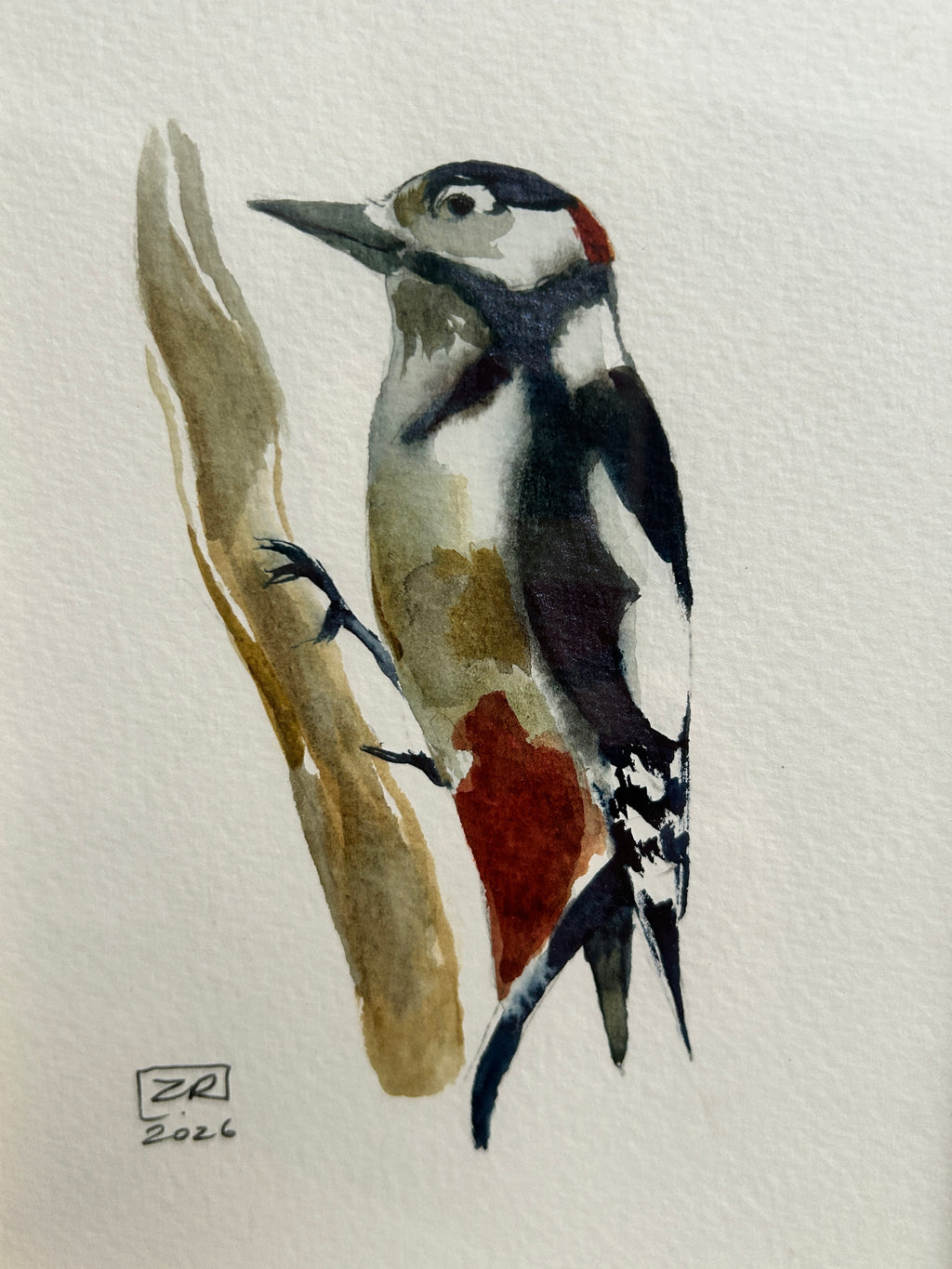 Ptak - Dzięcioł, 13 x 18