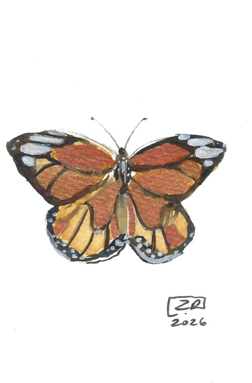 Motyl  - Danaus Genutia, 10x15