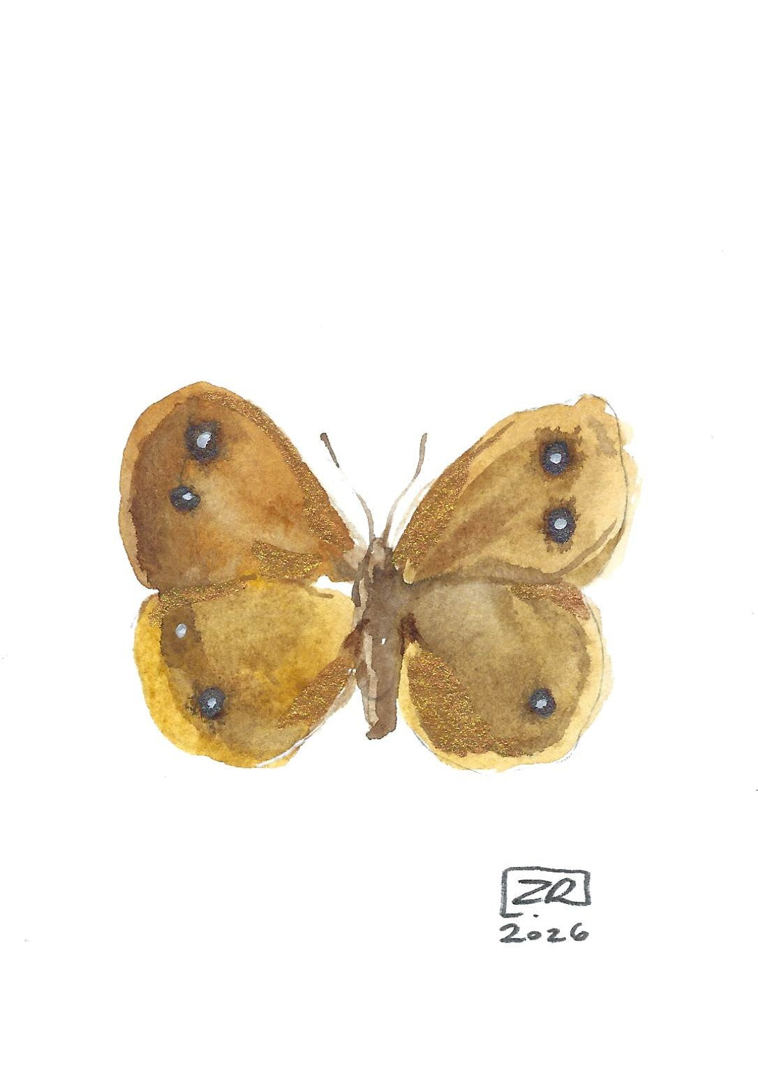 Motyl - Skalnik Driada, 10x15