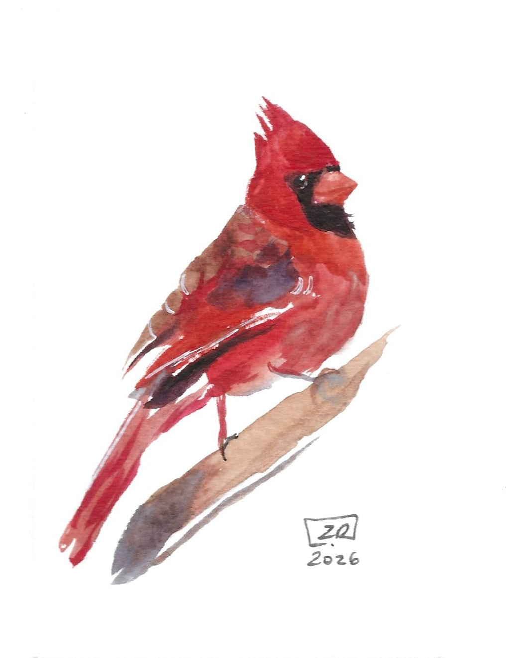Ptak - Kardynał 2, 10x15