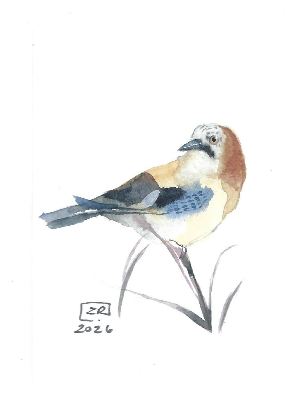 Ptak - Sójka 10 x 15 cm