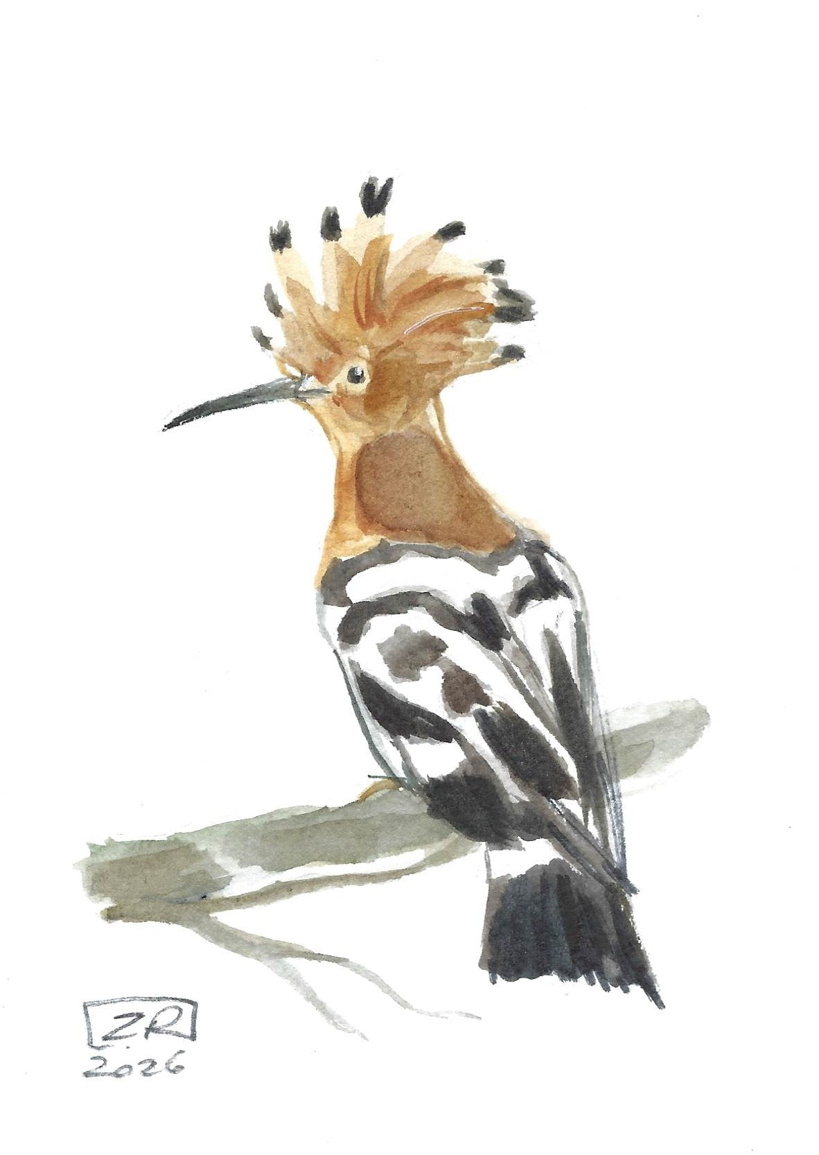 Ptak - Dudek 10 x 15 cm