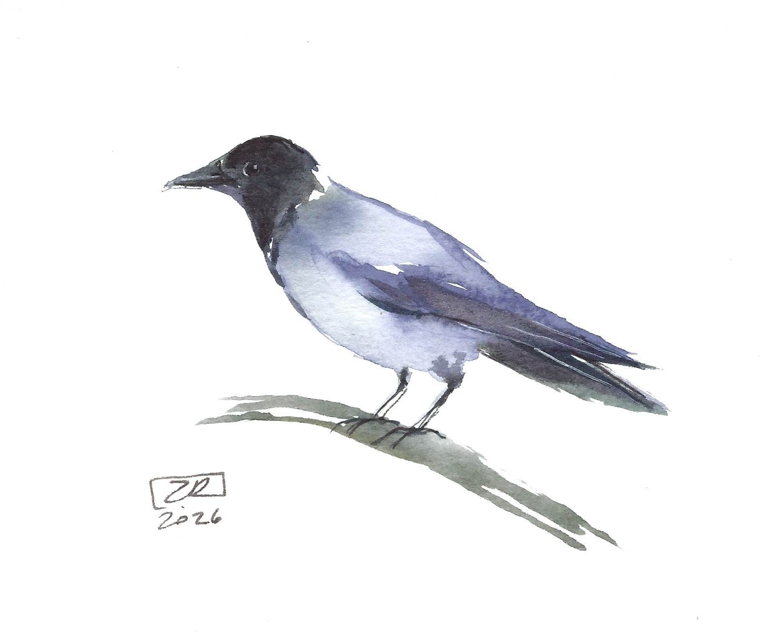 Ptak - Wrona 10 x 15 cm