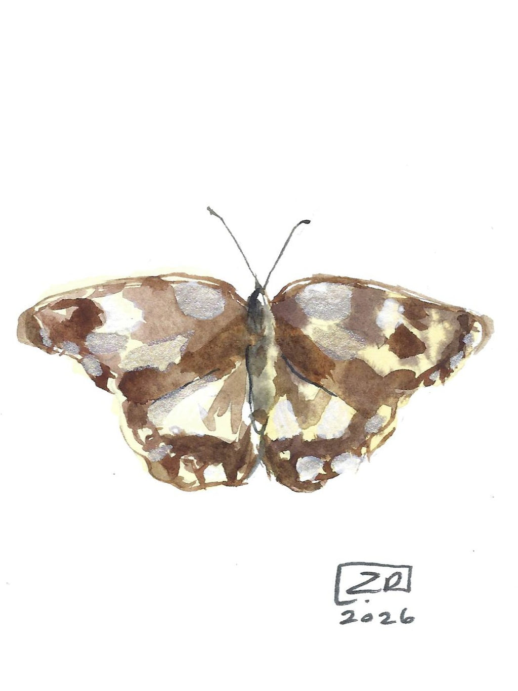 Motyl - Polowiec Szachownica, 10x15