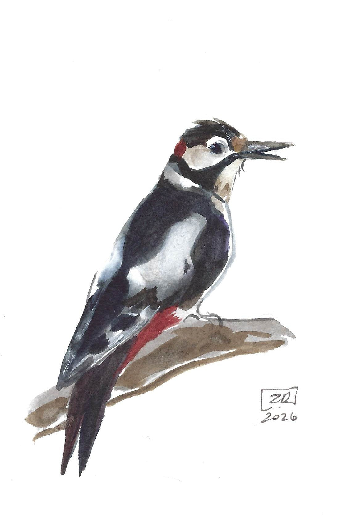Ptak - Dzięcioł 10 x 15 cm