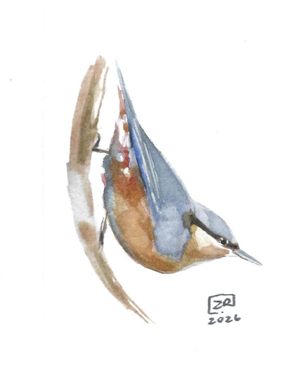Ptak - Kowalik, 10x15