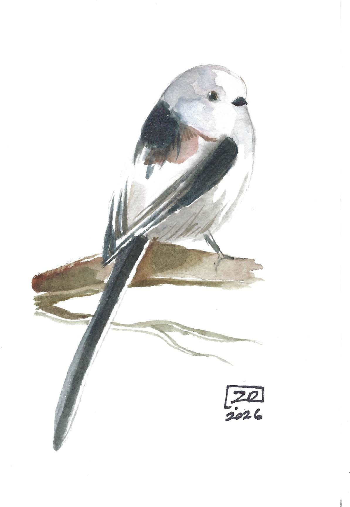 Ptak - Raniuszek 10 x 15 cm