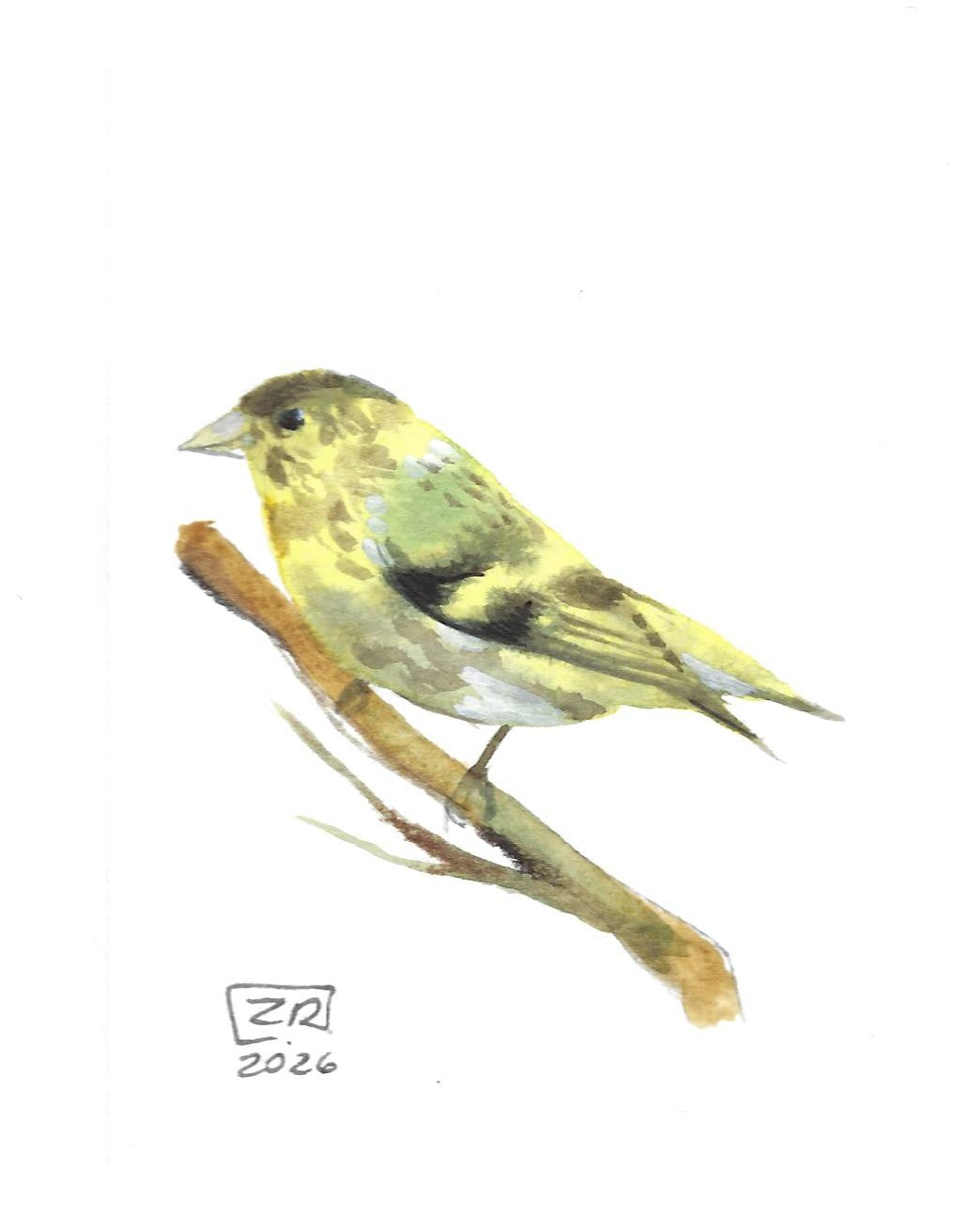 Ptak - Czyżyk 10 x 15 cm