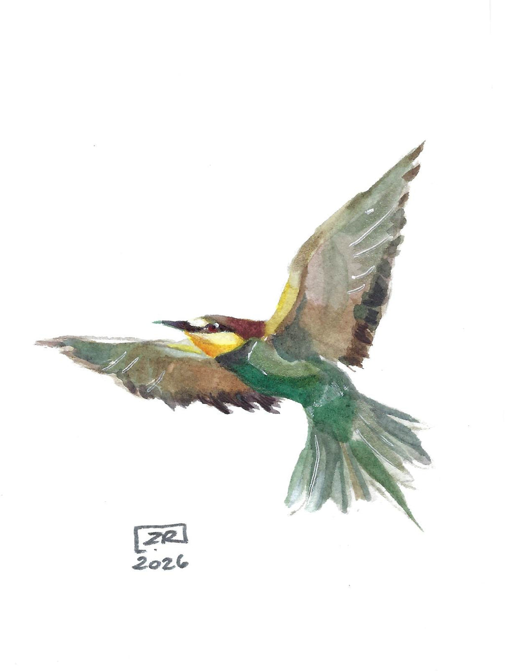 Ptak - Żołna 10 x 15 cm