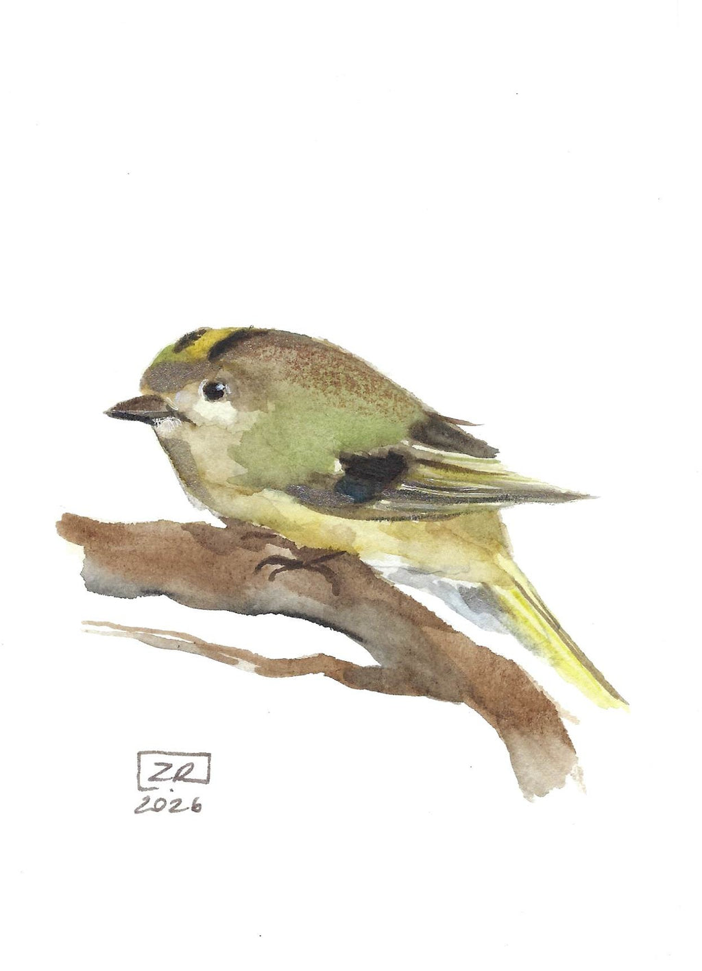 Ptak - Mysikrólik 10 x 15 cm