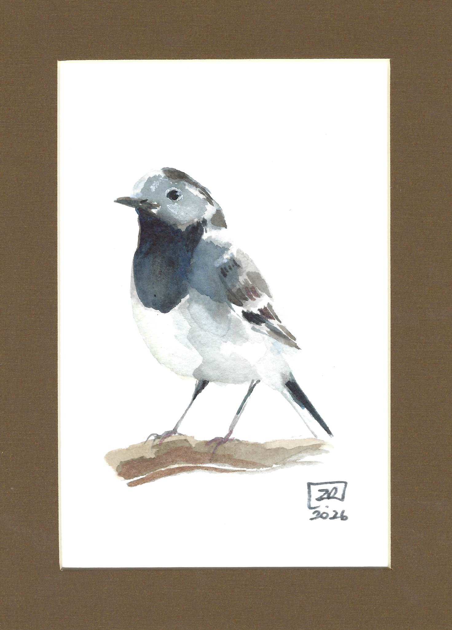 Ptak - Pliszka czarna 13 x 18 cm
