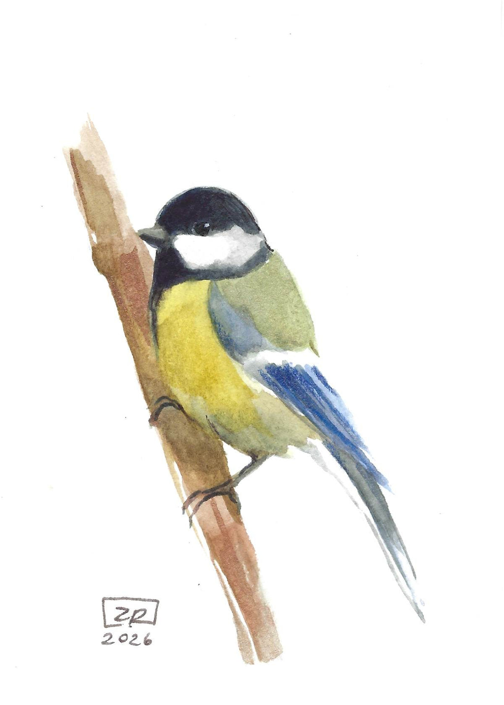 Ptak - Sikorka Bogatka 10 x 15 cm