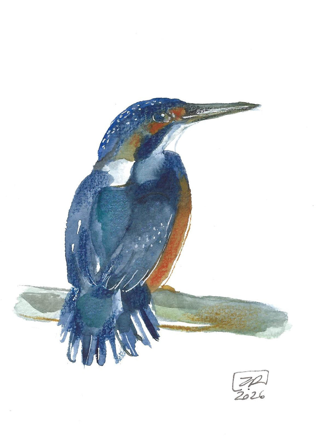 Ptak - Zimorodek 10 x 15 cm
