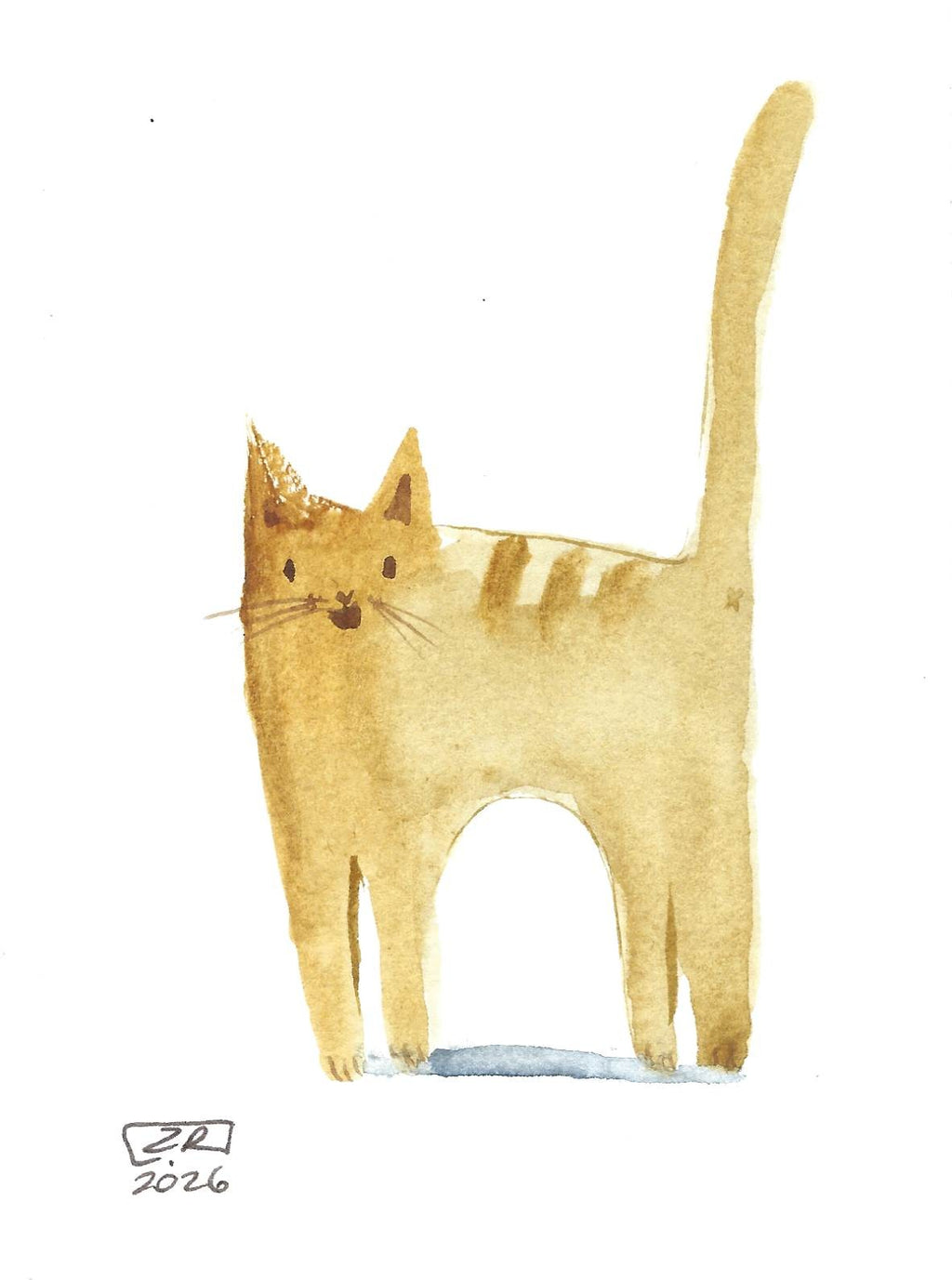 Kot - Rudy 10 x 15 cm