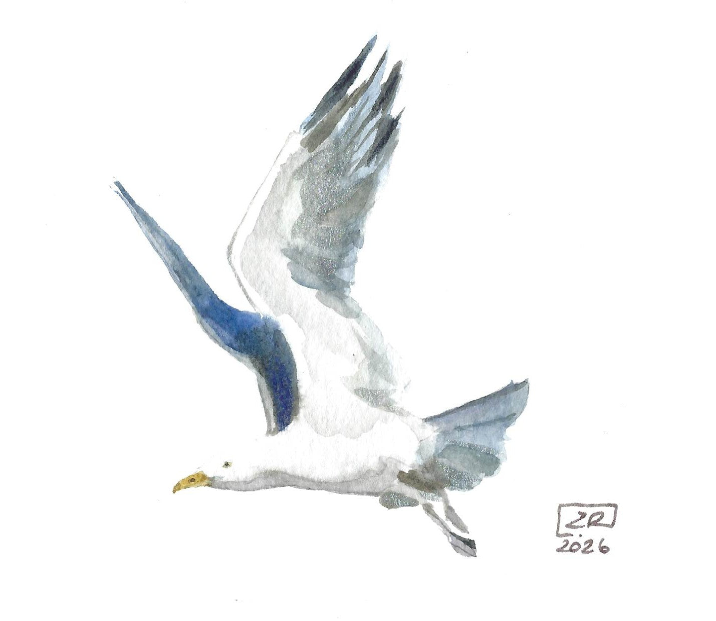 Ptak - Mewa 10 x 15 cm