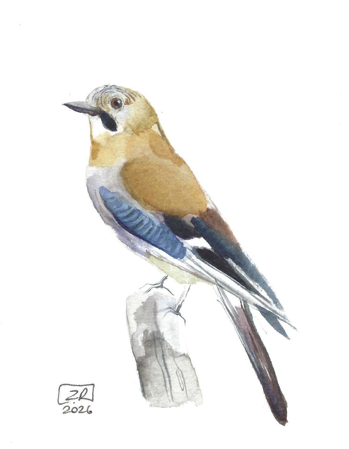 Ptak - Sójka 10 x 15 cm