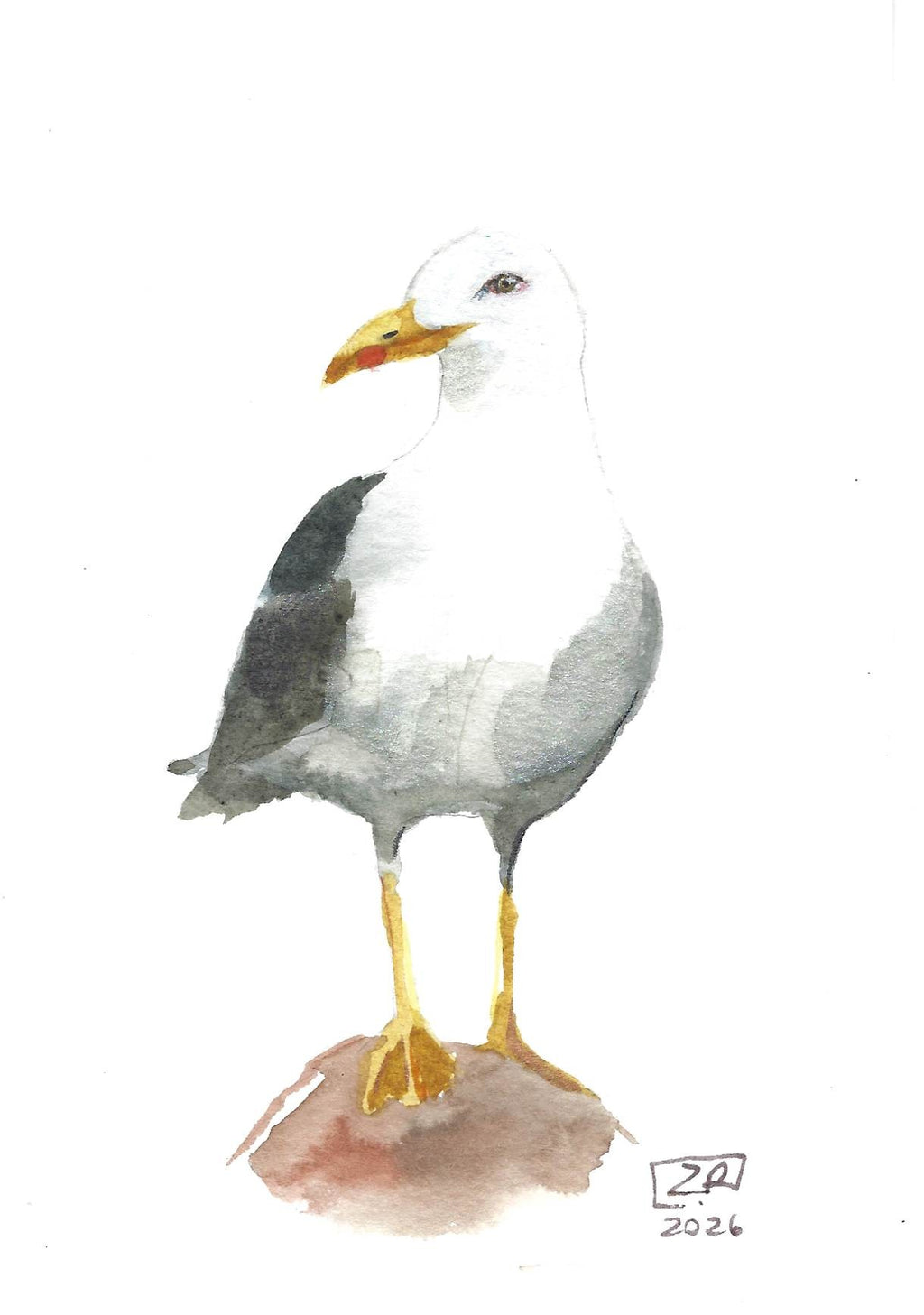 Ptak - Mewa 10 x 15 cm