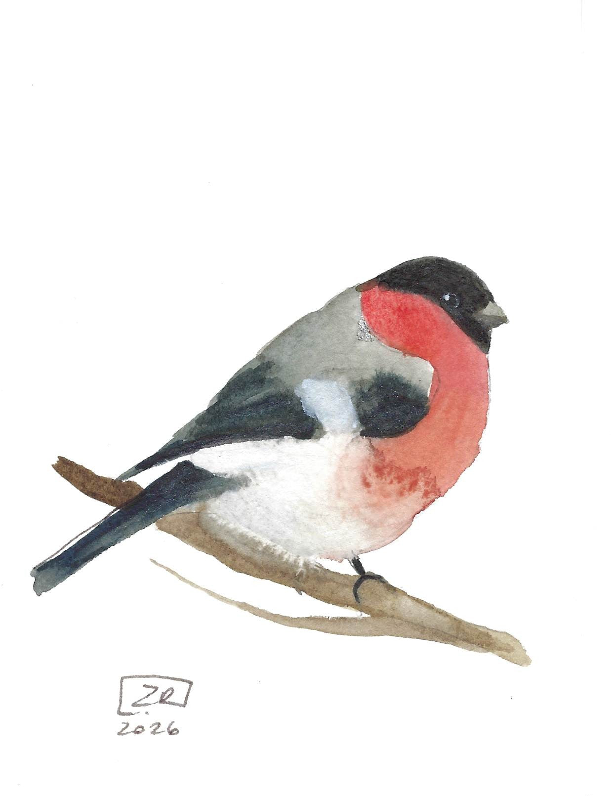 Ptak - Gil 10 x 15 cm