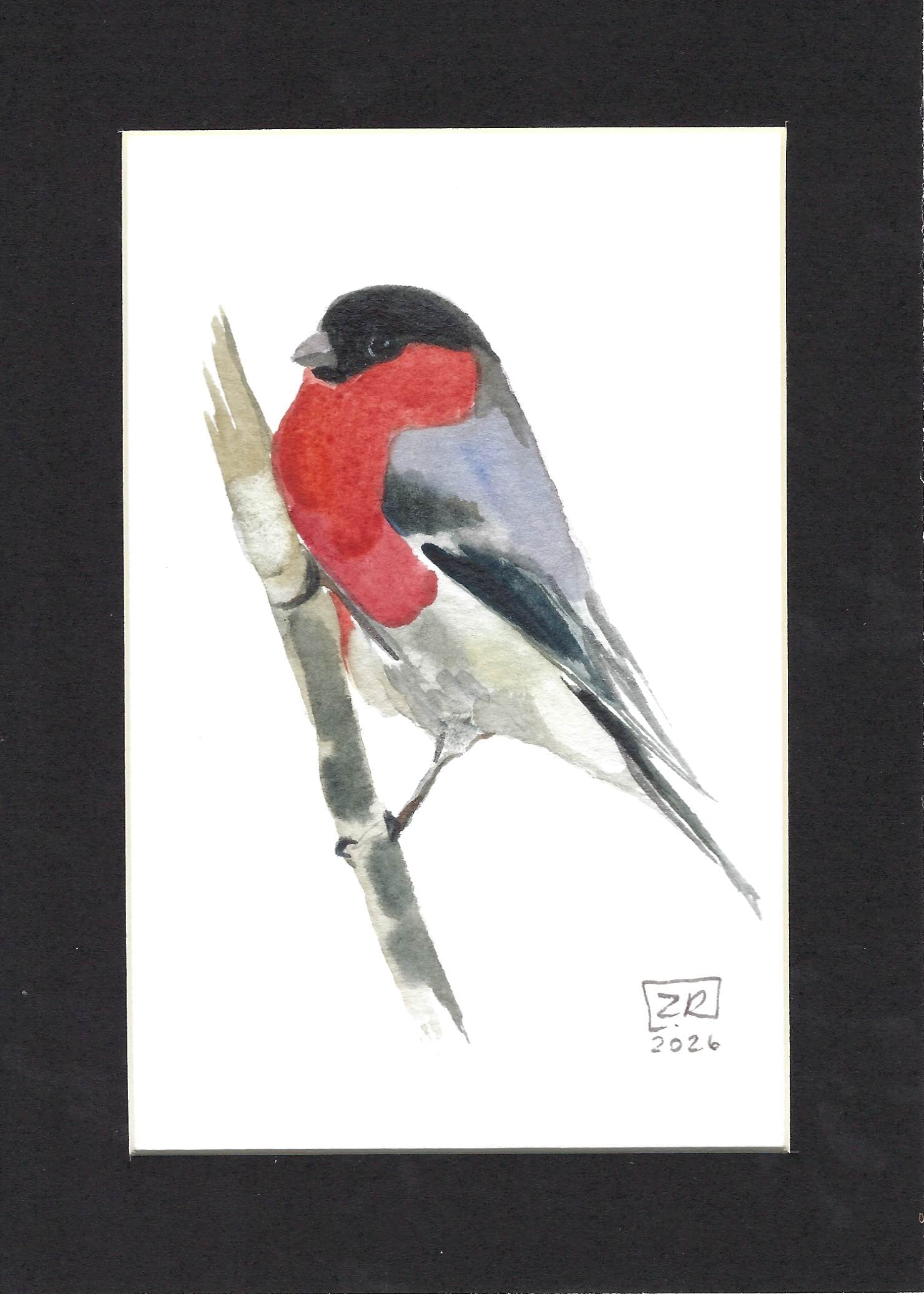 Ptak - Gil 13 x 18 cm